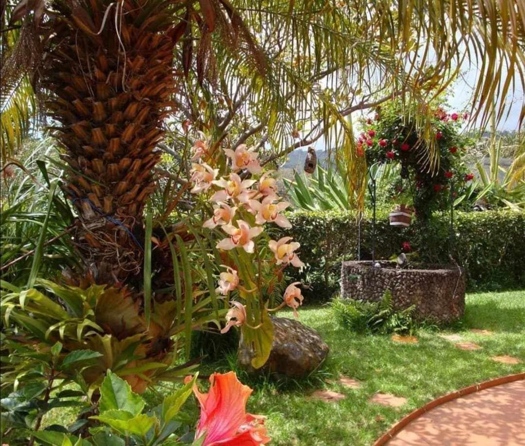 Vila Gama Apartamentos rodeados de natureza Machico (Madeira) Exterior foto